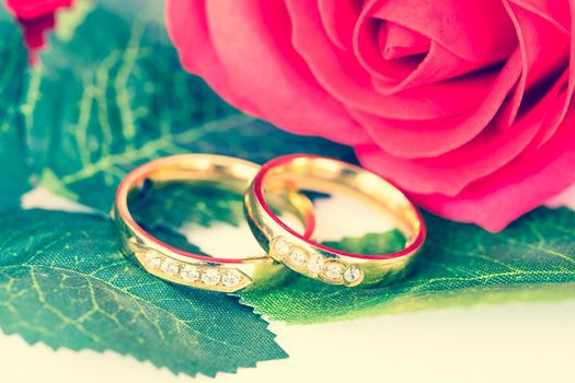 Close up Gold ring and Red roses, Wedding concept with roses and gold rings