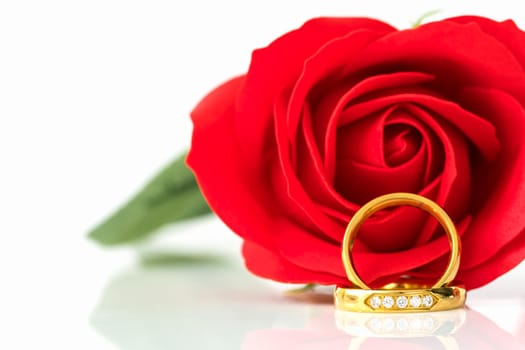 Close up Red roses on white background, Wedding concept with roses and gold rings