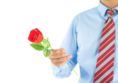 Close up photo of Man holding red roses in hand on white background