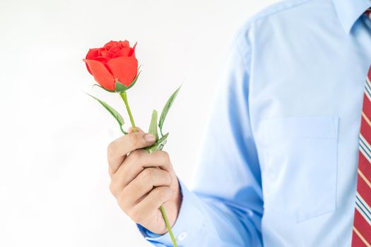 Close up photo of Man holding red roses in hand on white background