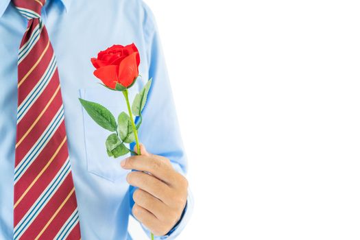 Close up photo of Man holding red roses in hand on white background