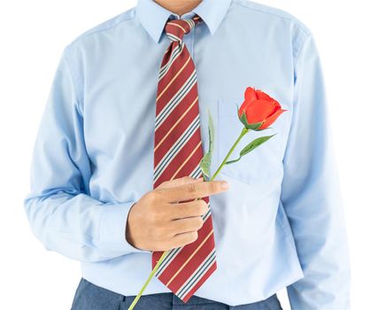 Close up photo of man holding with red rose on white background