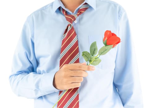 Close up photo of man holding with red rose on white background