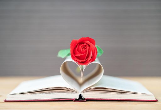 Pages of book curved into a heart shape and red rose,Love concept of heart shape from book pages