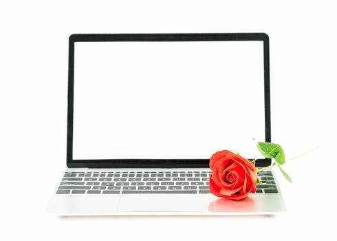 Red rose on the laptop keyboard on white background, Valentine  concept