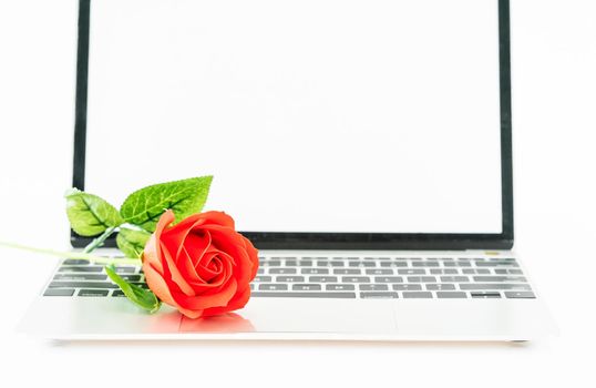 Red rose on the laptop keyboard on white background, Valentine  concept