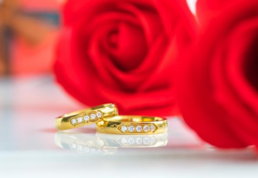 Red plastic fake roses on white background, Wedding concept with roses and gold rings