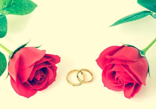 Red plastic fake roses on white background, Wedding concept with roses and gold rings