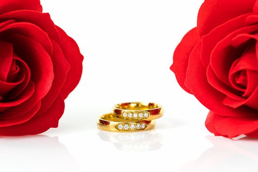 Red plastic fake roses on white background, Wedding concept with roses and gold rings