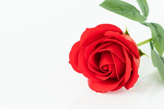 Single Red plastic fake roses on white background for Valentine's Day