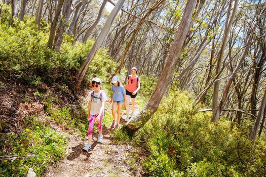 Mount Buller's Picnic Trail with family walking during summer in Victoria, Australia