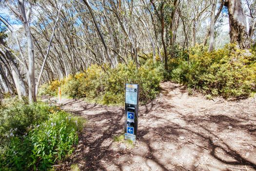 Mount Buller walking and biking trails during summer in Victoria, Australia