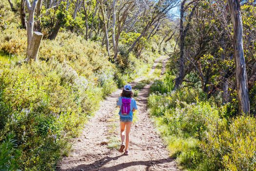 Mount Buller walking and biking trails during summer in Victoria, Australia