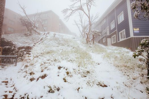 A rare summer snow storm blankets Mt Buller in the Victorian Alps, Australia.