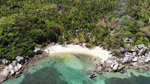 Bungalows and green coconut palms on tropical beach. Cottages on sandy shore of diving and snorkeling resort on Koh Tao paradise island near calm blue sea on sunny day in Thailand. Drone view