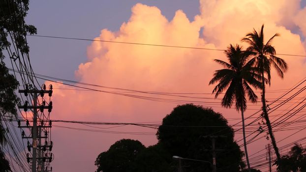 KOH SAMUI ISLAND, THAILAND - 10 JULY 2019: Orange clouds in sunset tropical exotic evening. palms and electric wires.