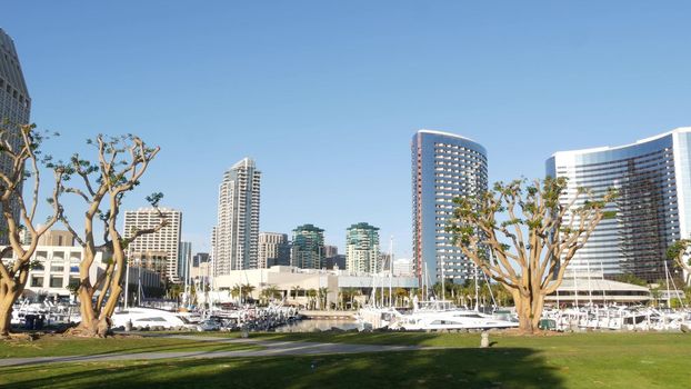 Embarcadero marina park, big coral trees near USS Midway and Convention Center, Seaport Village, San Diego, California USA. Luxury yachts and hotels, metropolis urban skyline and highrise skyscrapers.