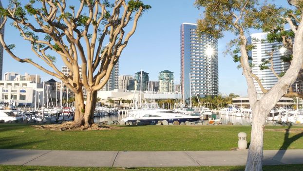 Embarcadero marina park, big coral trees near USS Midway and Convention Center, Seaport Village, San Diego, California USA. Luxury yachts and hotels, metropolis urban skyline and highrise skyscrapers.