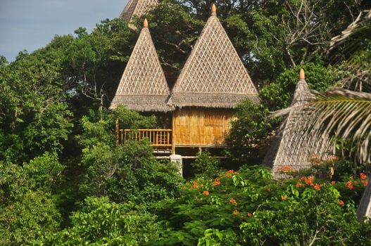 View of wooden houses with conic thatched roofs in bright green tropical vegetation. Thatched houses in lush tropical vegetation. Paradise exotic island life