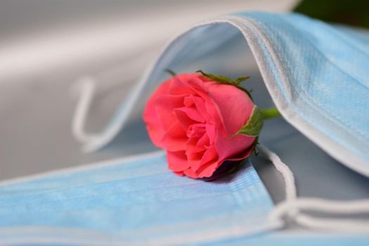 Pink rose under a surgical mask