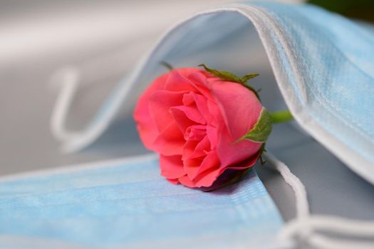 Pink rose under a surgical mask