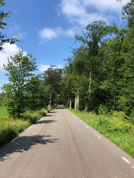 Road through the forest in Natuurschoon Nietap in the province Drenthe, The Netherlands