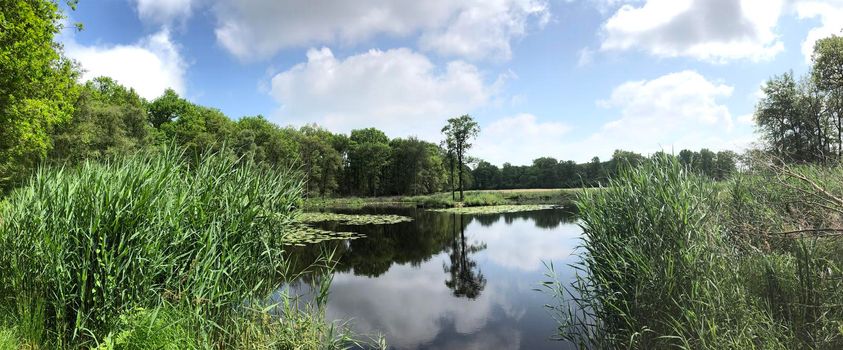 Panorama from a Lake and forest in Natuurschoon Nietap in the province Drenthe, The Netherlands