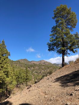 Scenery around Las Ninas Reservoir on Gran Canaria