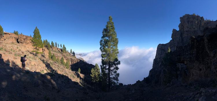 Tourist looking on his phone around Pico las nieves on Gran Canaria