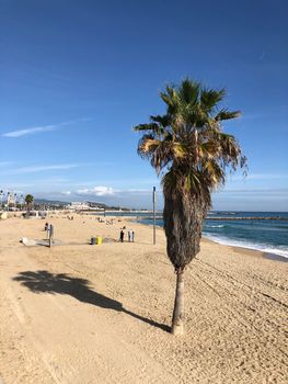 Llevant Beach in Barcelona Spain