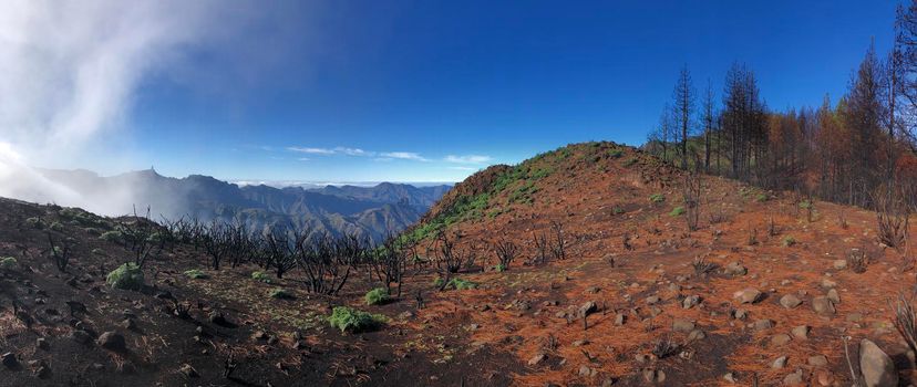 Panorama from Gran Canaria with roque nublo on the background