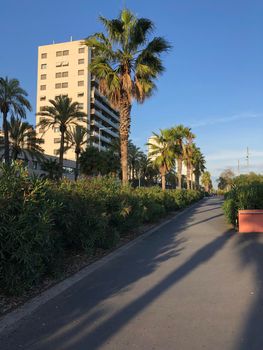 Parc del Maresme in Barcelona, Spain