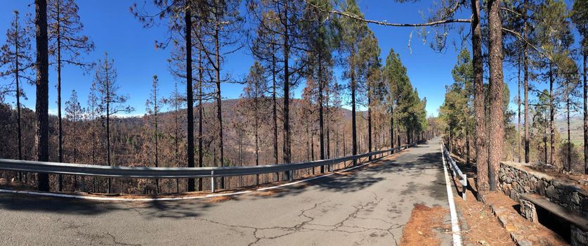 Panorama from a road through the nature of Gran Canaria