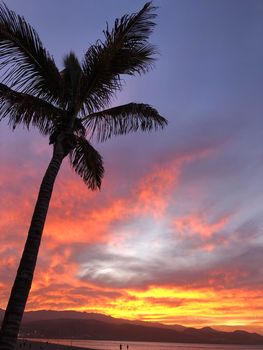 Sunset with palmtree at Las Canteras beach in Las Palmas, Gran Canaria