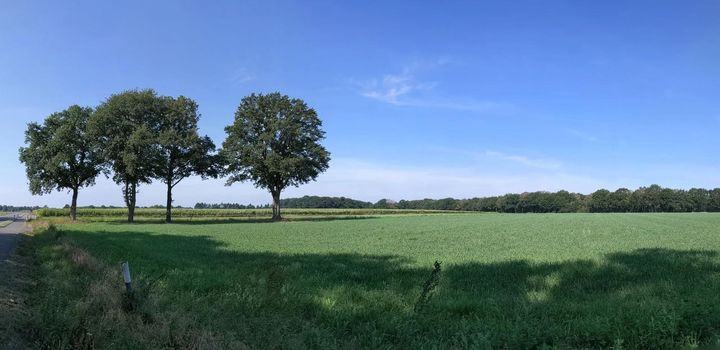 Panorama from scenery around Getelo in Germany