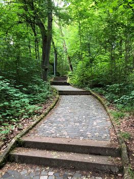 Path towards the Altenburg Castle in Bamberg Germany