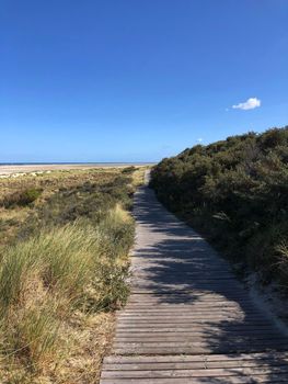 Path through the sand dunes on Borkum island in Germany