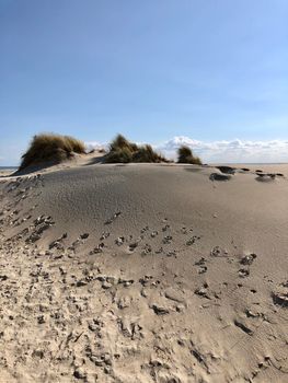 Sand dune on Borkum island in Germany