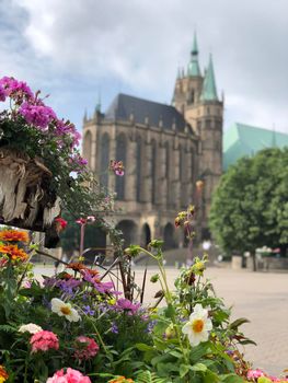 Flowers in front of the Erfurt Cathedral in Erfurt, Germany