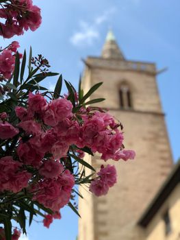 Andreas church in Erfurt Germany