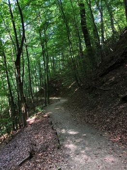 Path in the Hofgarten Burg Trausnitz in Landshut Germany