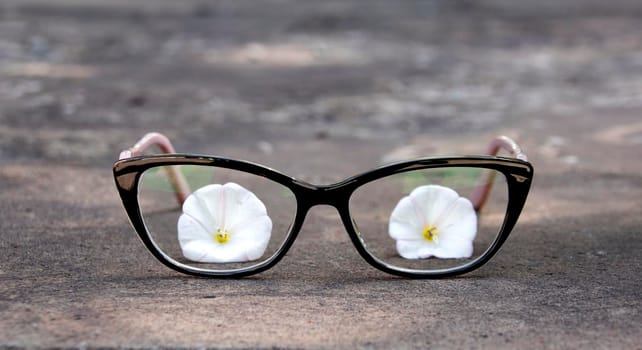 The glasses are on the ground and white flowers are visible through the lenses.