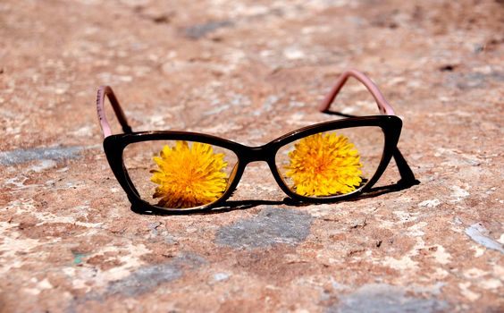 The glasses are on the concrete and dandelion flowers are visible through the lenses.