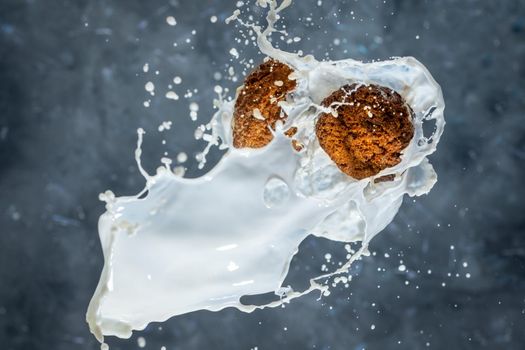 Oatmeal cookies with milk splashes on gray background. levitation
