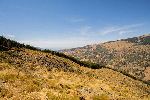 High mountain landscape in summer