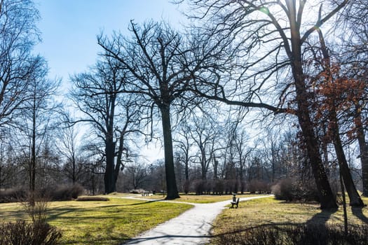 Long path in small park with trees without leafs around