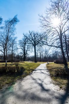 Long path in small park with trees without leafs around