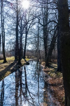 Trees and bushes reflecting in small river in small park