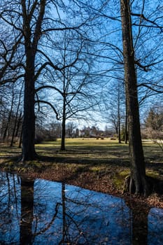 Trees and bushes reflecting in small river in small park