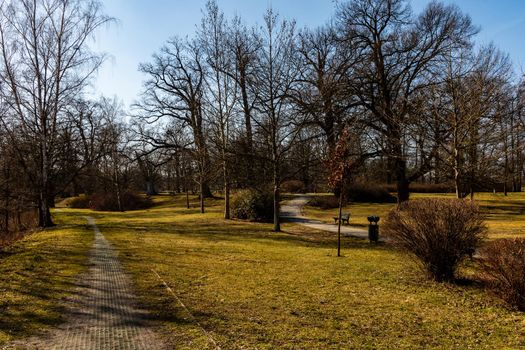Narrow paths in colorful small park with trees and bushes without leafs at winter